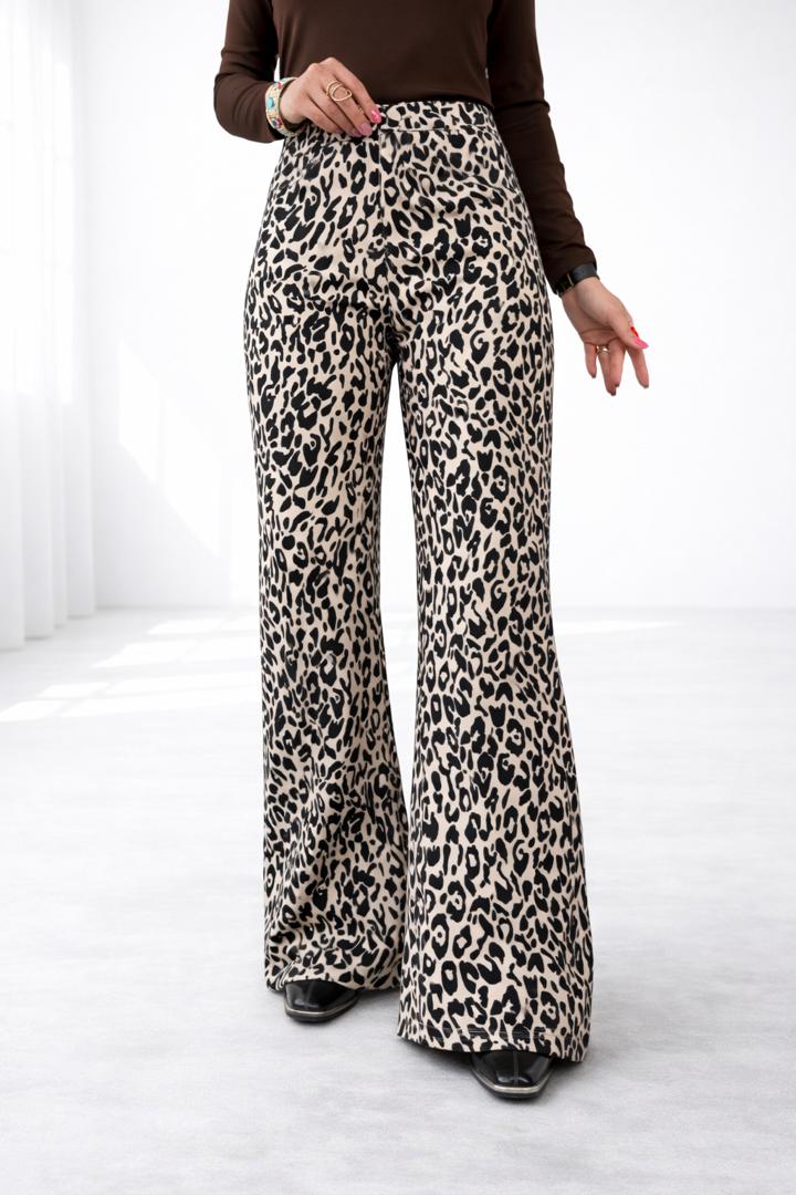 WhatsApp Image 2025-12-24 at 19.50.49